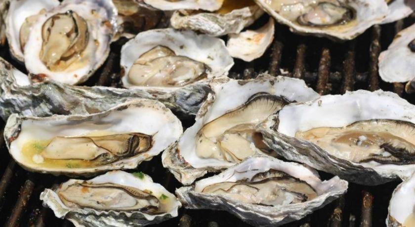 Anh Tuan Hotel Vũng Tàu Eksteriør billede